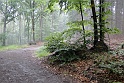 Ritterstein Nr. 035-5a Am Holderbild